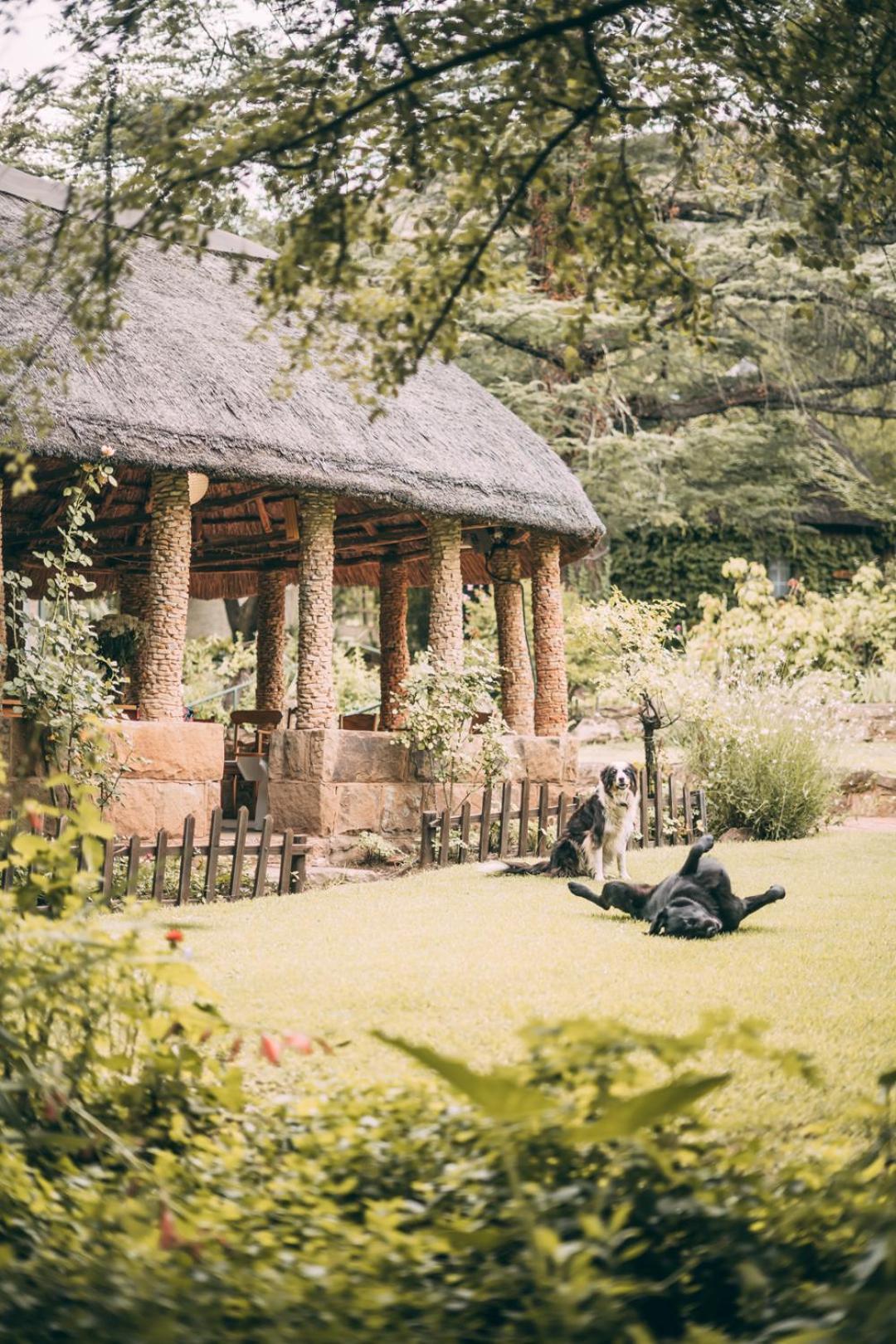 Wyndford Holiday Farm Fouriesburg Εξωτερικό φωτογραφία