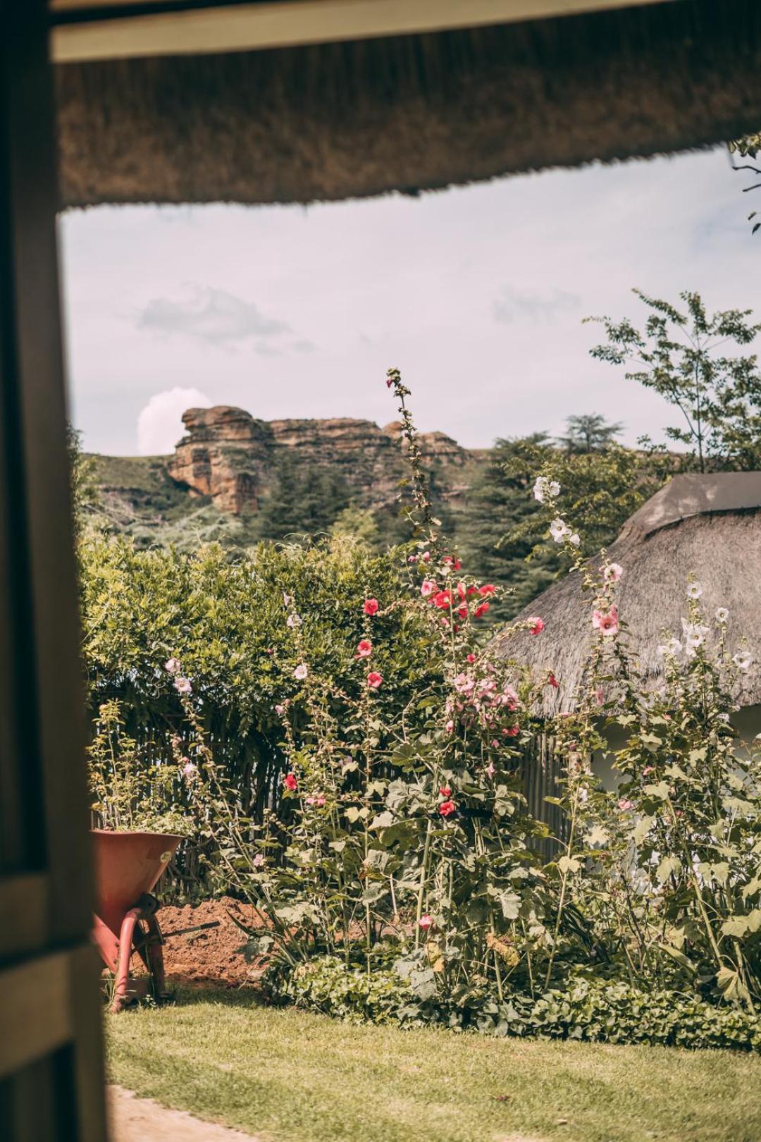Wyndford Holiday Farm Fouriesburg Εξωτερικό φωτογραφία